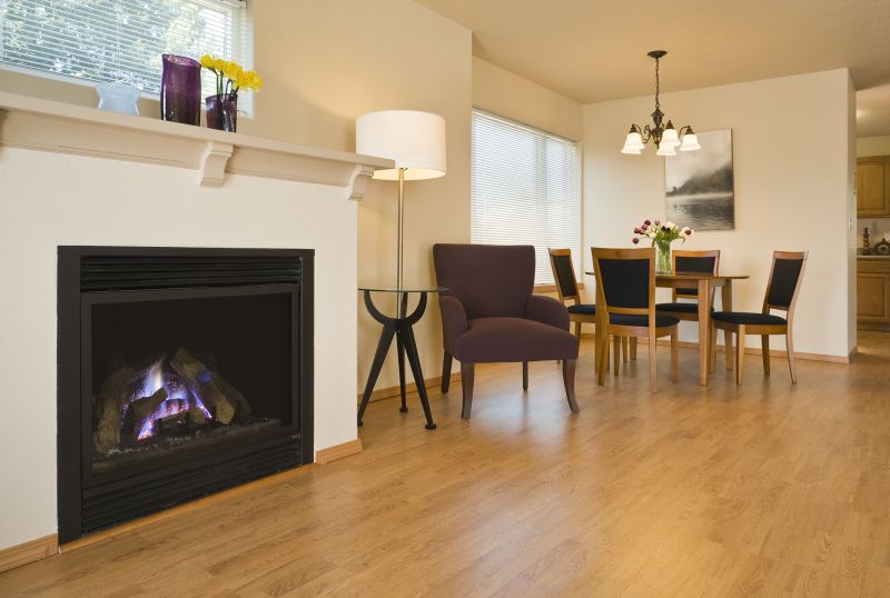 Gas Fireplace Inspecting